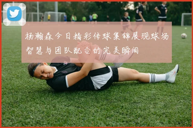 杨瀚森今日精彩传球集锦展现球场智慧与团队配合的完美瞬间