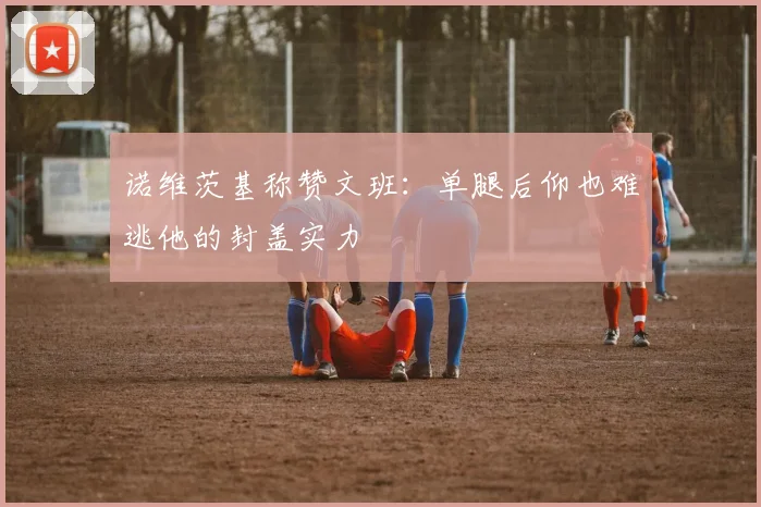 诺维茨基称赞文班：单腿后仰也难逃他的封盖实力