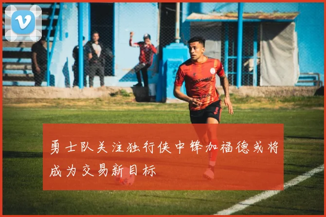 勇士队关注独行侠中锋加福德或将成为交易新目标