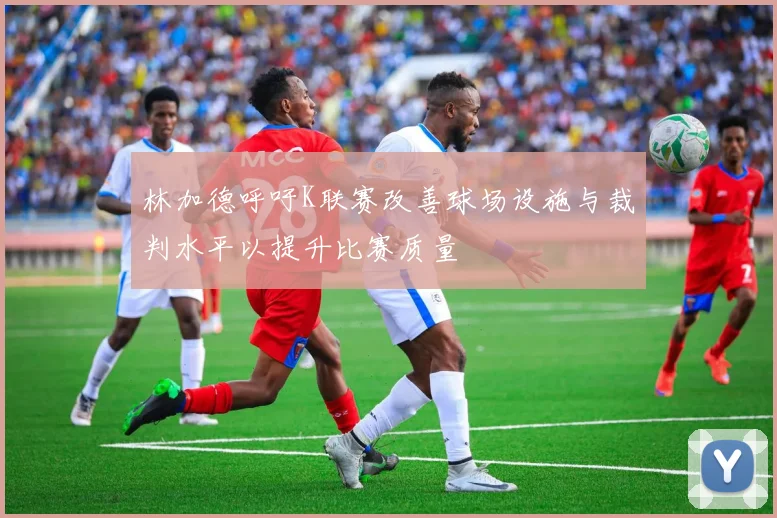 林加德呼吁K联赛改善球场设施与裁判水平以提升比赛质量