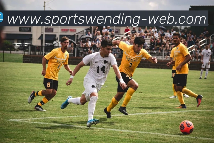 问鼎娱乐APP 封面图