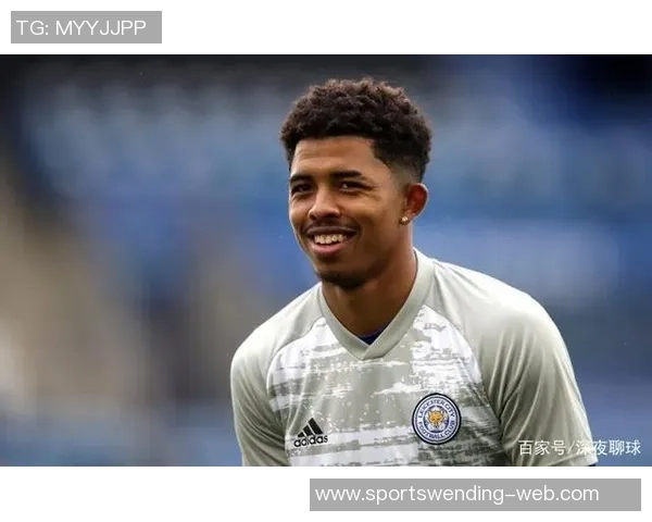 蓝军外租前锋福法纳因无证无保险驾驶被罚款12万引发关注