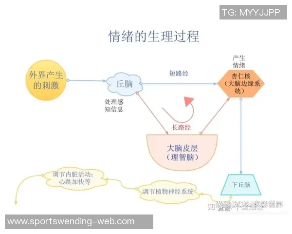 乔哈特揭露波罗被换下场后的失控情绪与疯狂行为分析 乔哈特揭露波罗被换下场后的失控情绪与疯狂行为分析